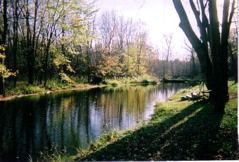 Scan10001